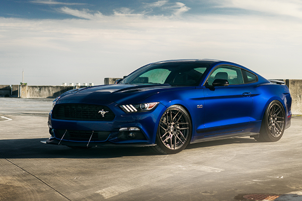 德州市禹城市实时气象动态与气候变化概况